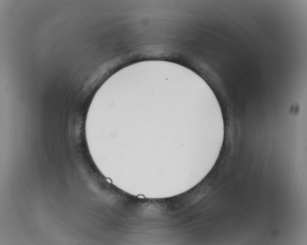 X0000112390115200909241248