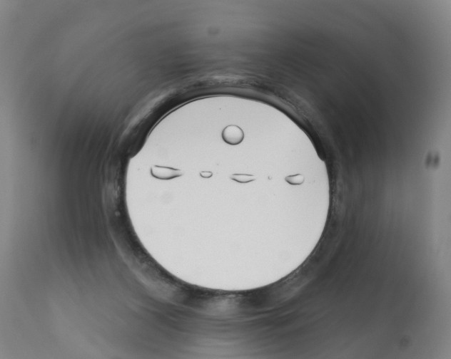 X0000112390116200909241248