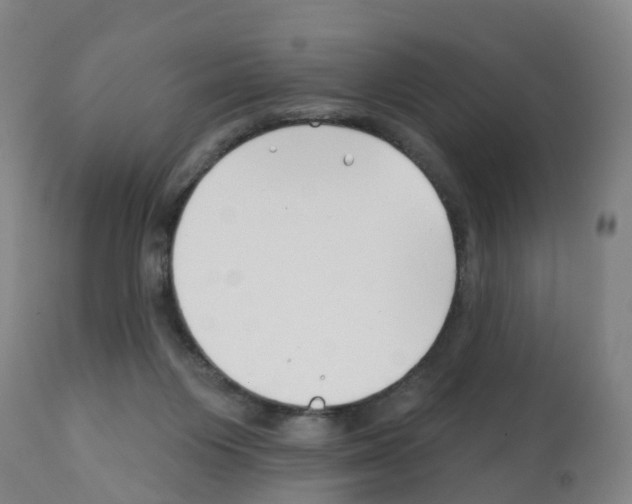 X0000112390119200909241248