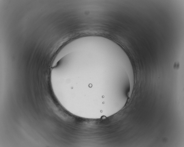 X0000112390120200909241248