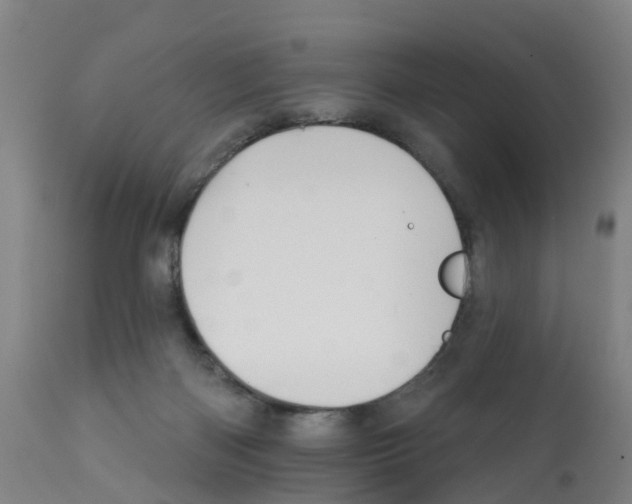 X0000112390122200909241248