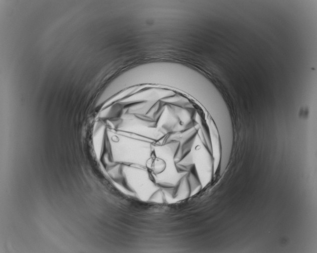 X0000112390124200909241248