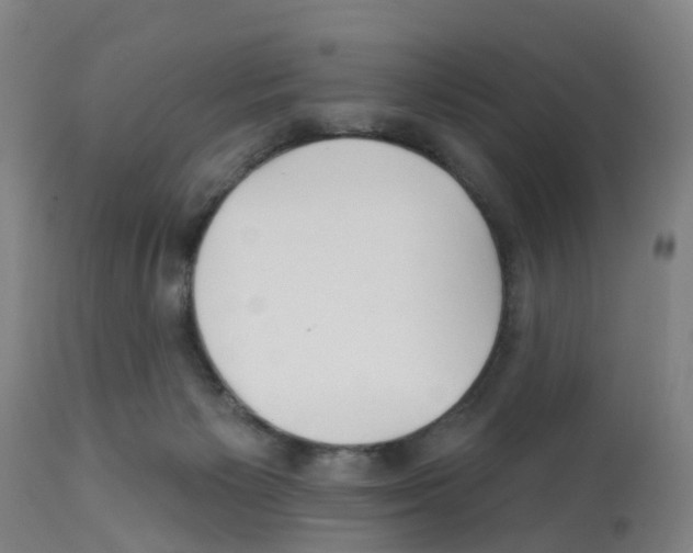 X0000112390125200909241248