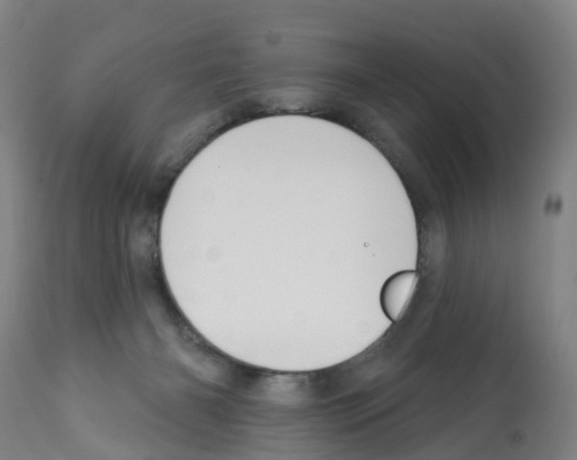X0000112390126200909241248