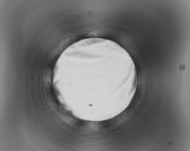 X0000112390127200909241248