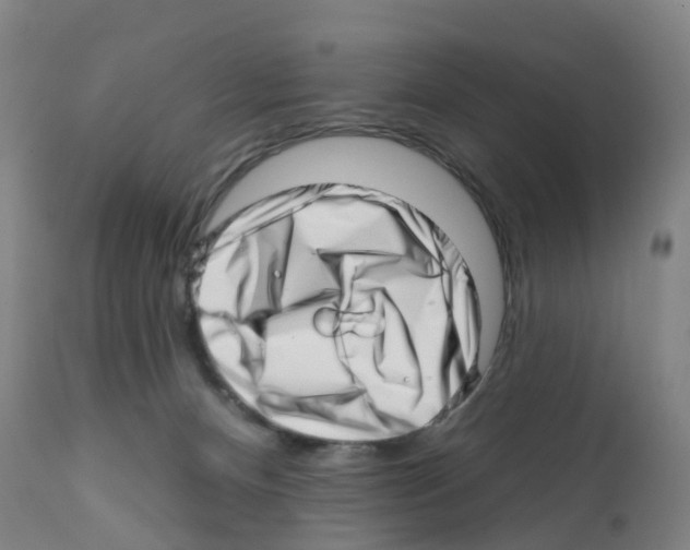 X0000112390128200909241248