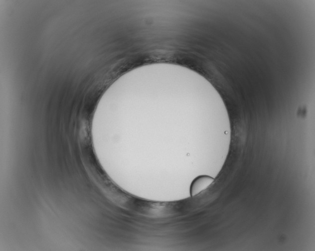 X0000112390130200909241248