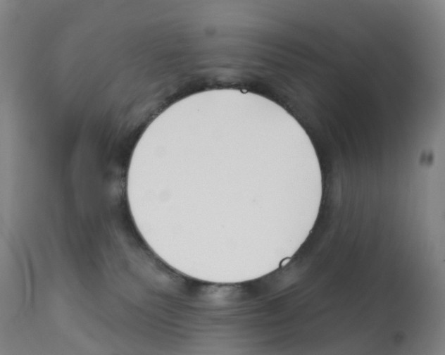X0000112390135200909241248