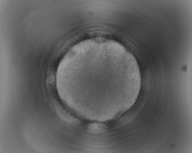 X0000112390137200909241248