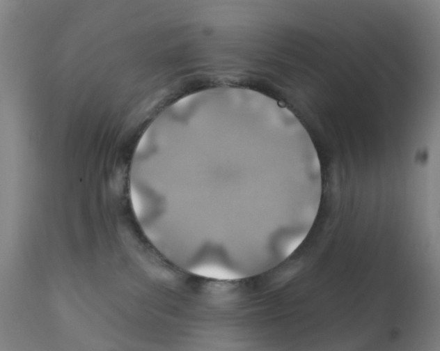 X0000112390139200909241248