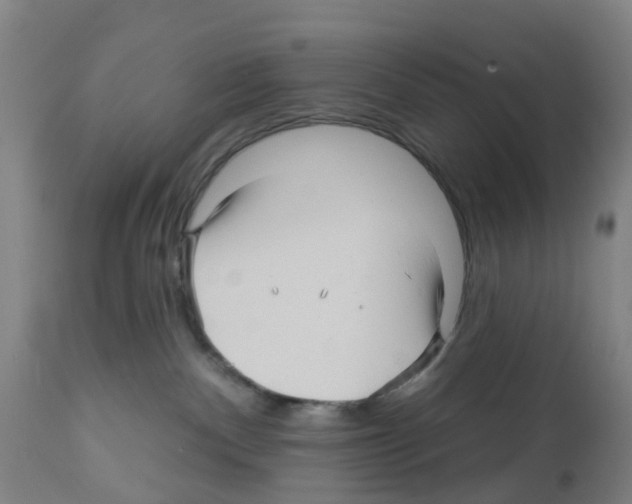 X0000112390140200909241248