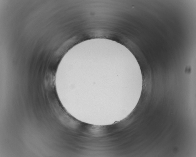 X0000112390142200909241248