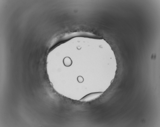 X0000112390144200909241248