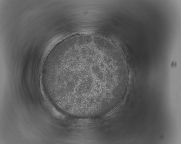 X0000112390145200909241247