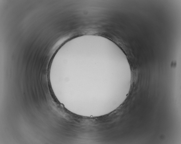 X0000112390147200909241247
