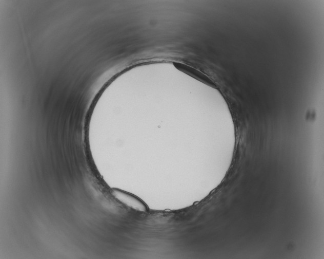 X0000112390148200909241247