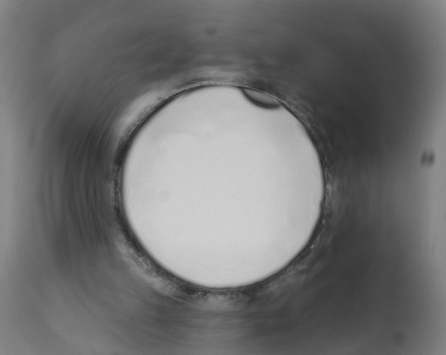 X0000112390149200909241247