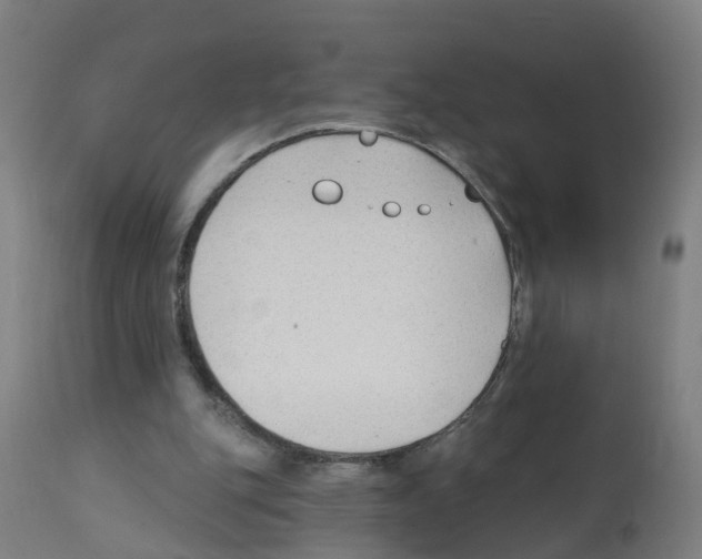 X0000112390151200909241247