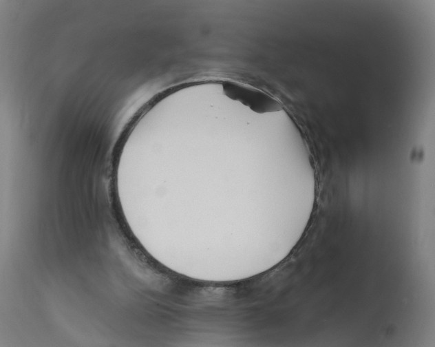 X0000112390152200909241247