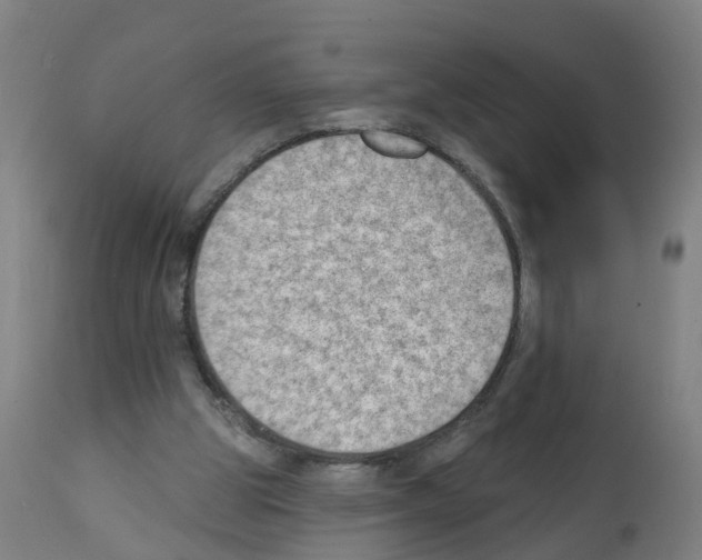 X0000112390153200909241247