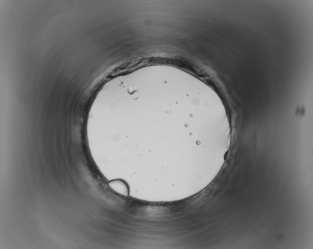X0000112390154200909241247