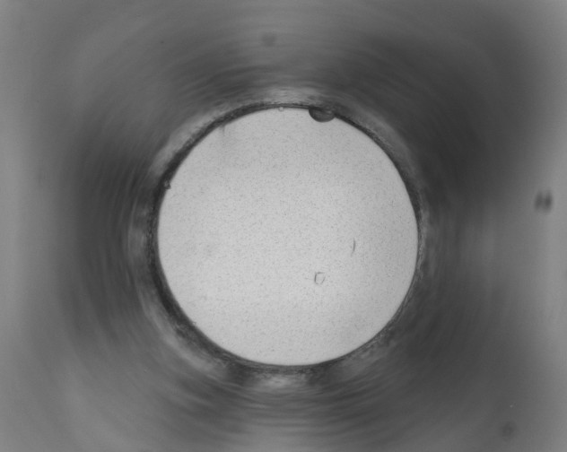 X0000112390155200909241247