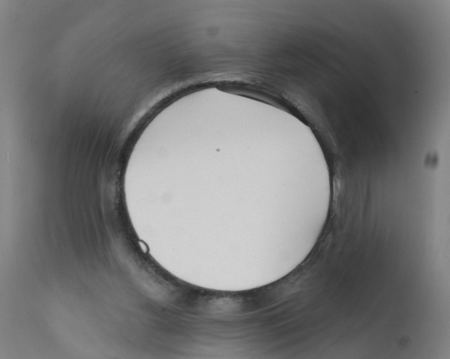 X0000112390156200909241247