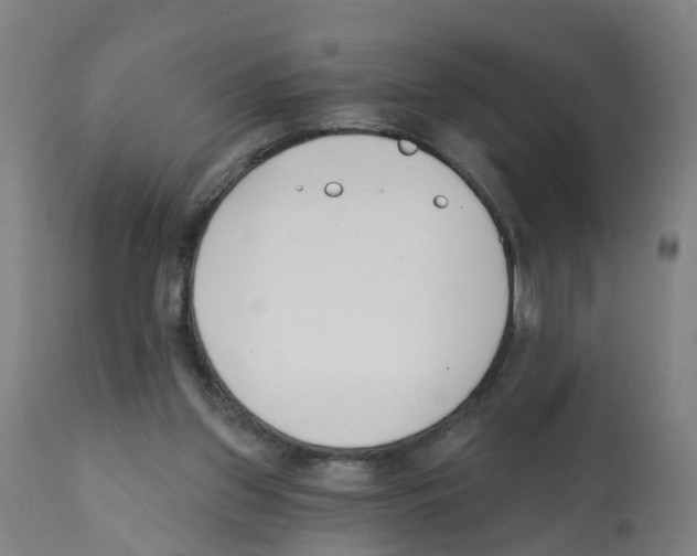 X0000112390157200909241247