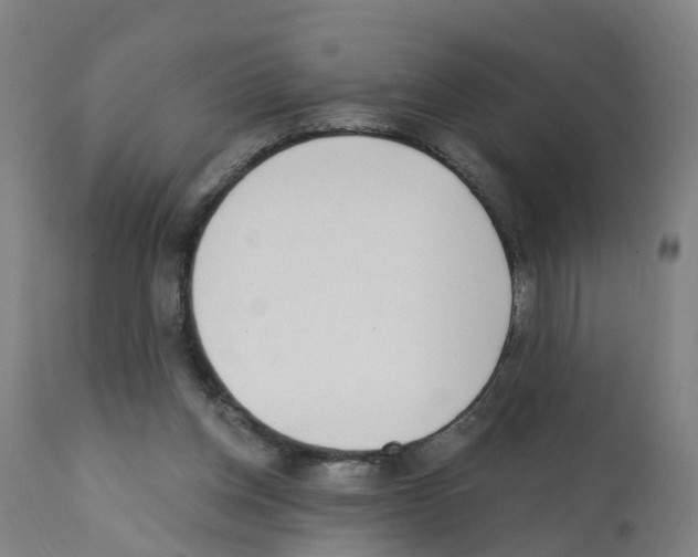 X0000112390158200909241247