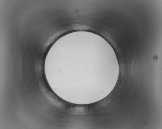 X0000112390159200909241247