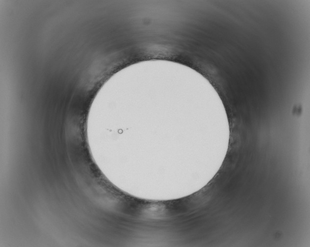 X0000112390162200909241247