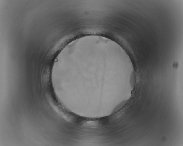 X0000112390163200909241247