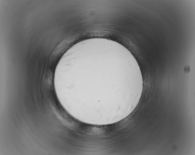 X0000112390166200909241247