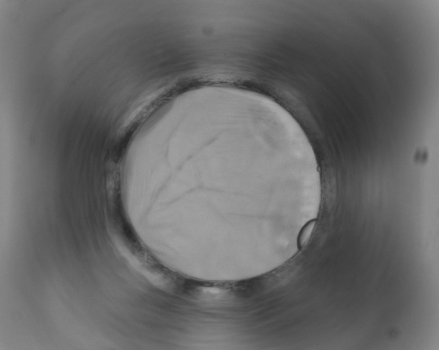 X0000112390167200909241247