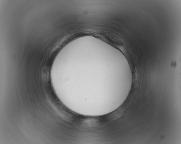 X0000112390168200909241247