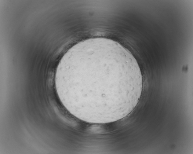 X0000112390171200909241247