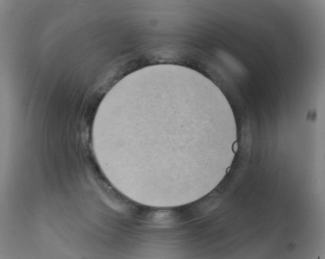 X0000112390173200909241247