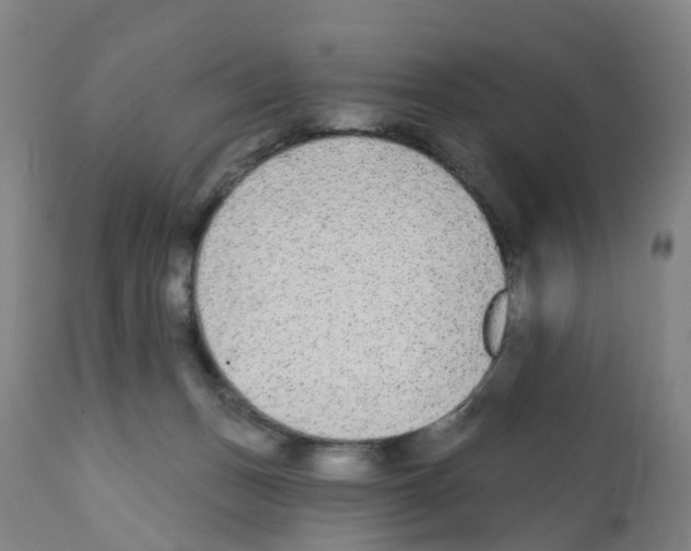 X0000112390175200909241247