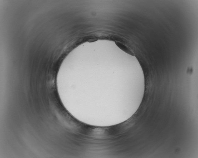 X0000112390176200909241247