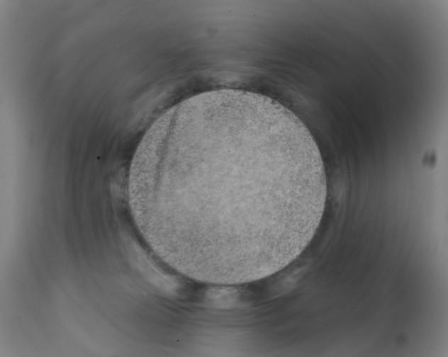 X0000112390181200909241247