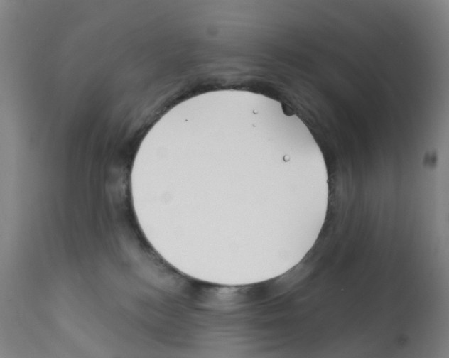 X0000112390184200909241247