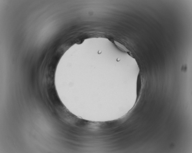 X0000112390190200909241247