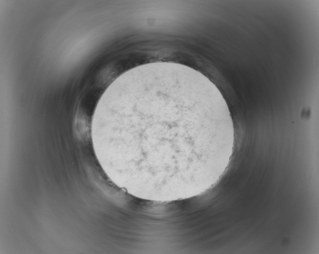X0000112390191200909241248
