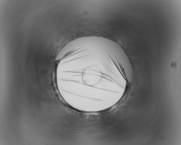 X0000112390192200909241248
