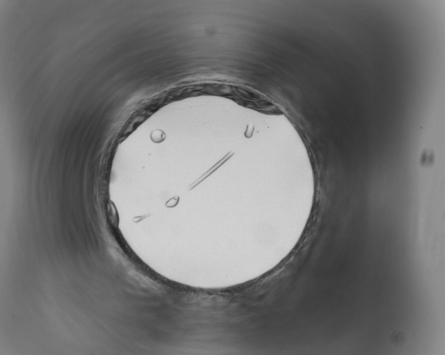 X0000112390193200909241247
