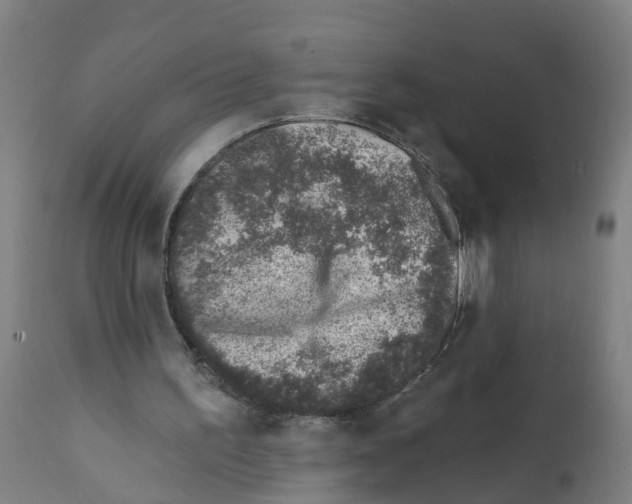 X0000112390195200909241247