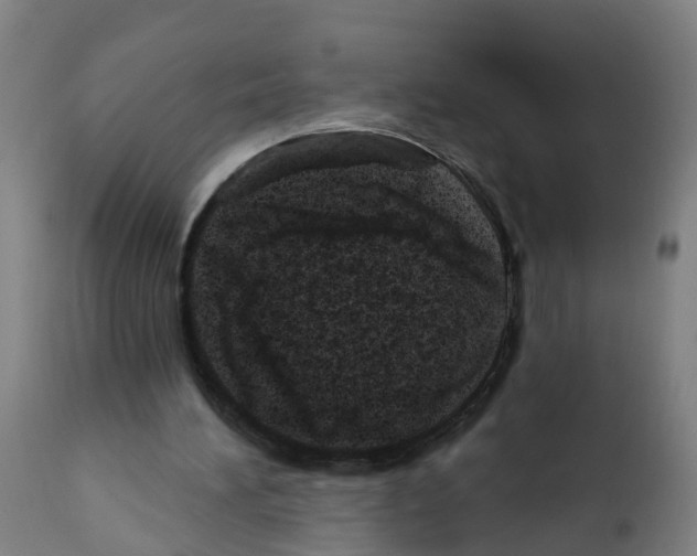 X0000112390196200909241247