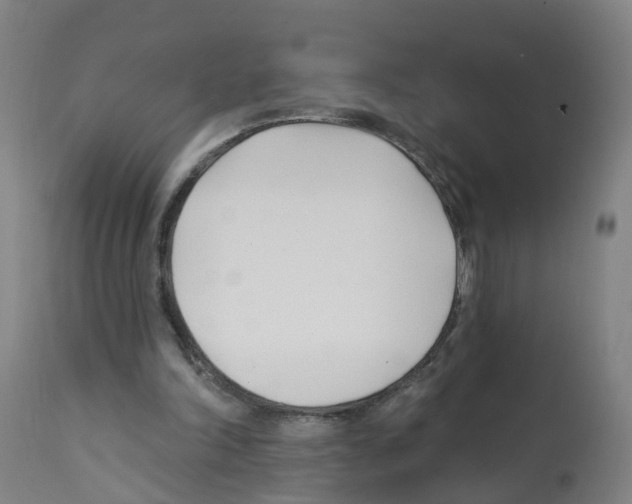 X0000112390198200909241247