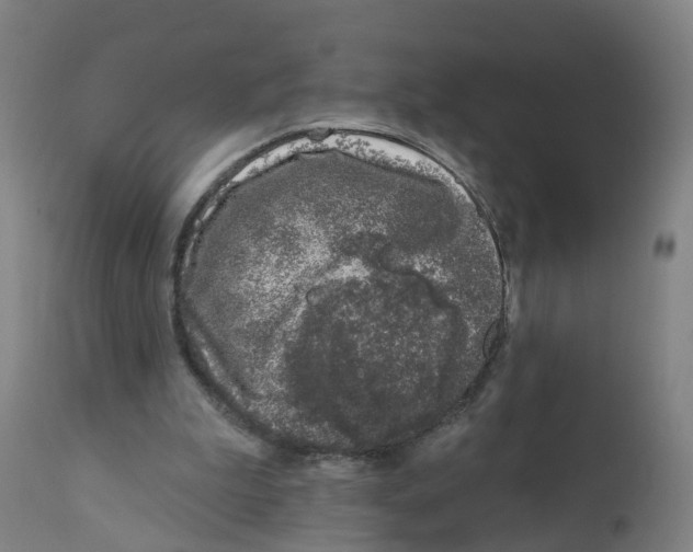 X0000112390199200909241247