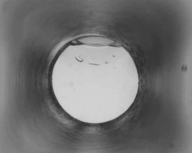 X0000112390200200909241247